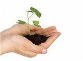 consulenza-,economica