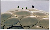 consulenza informatica, corsi on-line, formazione, formazione a distanza, integrazione, networking, Piccole Medie Imprese, PMI, progetti informatici, reti di computer, sicurezza informatica, sistemi operativi, sviluppo software, top 