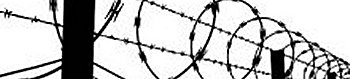 soluzioni-aziendali-personalizzate