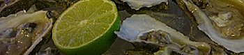 sviluppo-software-gestionale